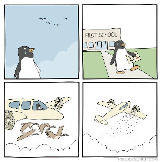 penguin pilot school