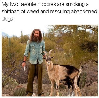 favorite hobbies