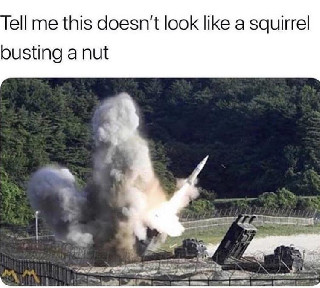 squirrel get nut bust ball rocket Russia trump sucks d