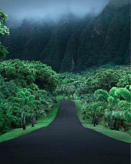 hawaii green road