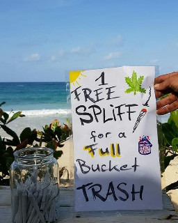 Jamaica one free spliff one trash