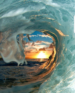 surf inside barrel