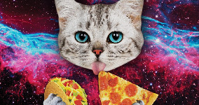 Galaxy Space Kitten Cat Eat Taco Pizza Funny