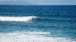surf swell california