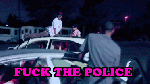 fuck the police car gif