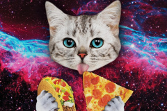 Galaxy-Space-Kitten-Cat-Eat-Taco-Pizza-Funny
