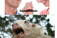 bahahaha