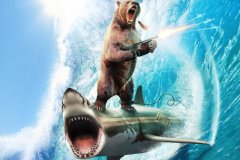bear_shark
