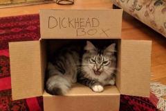 cat-dickhead