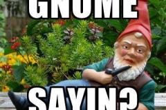 gnome-sayin