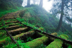 green-railroad