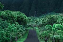 hawaii-green-road