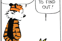 ignorant-calvin