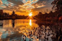 lake-trees-sunset