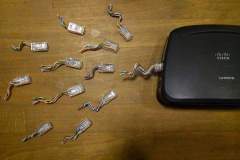 network-sperm