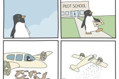 penguin-pilot-school