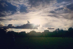shark-cloud