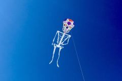 skull-kite