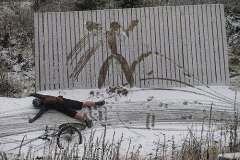 snow-fail