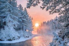 snow-tree-sunset