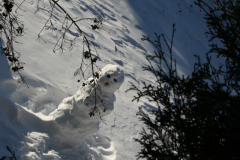 snowman-IMG_3353