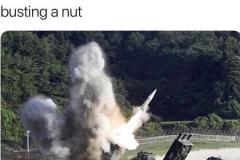 squirrel-busting-nut