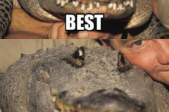 steve-irwin-best-day-ever-croc