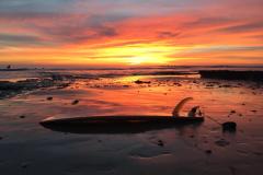 surfboard-sunset