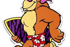 tc-surf-gorilla