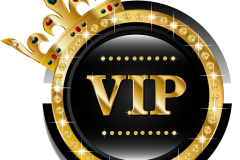 vip-logo-png