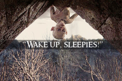 wake-up-sleepies