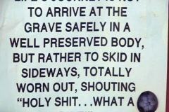 what-a-ride